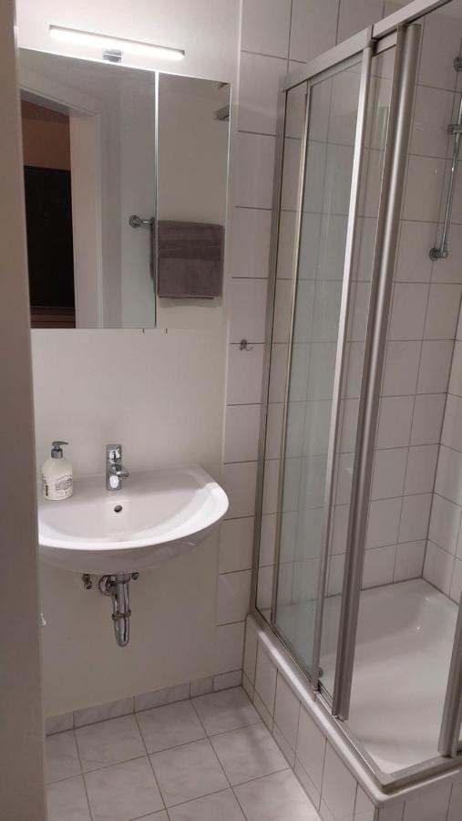 Ferienwohnung Am Stadtwald Freiberg Kültér fotó